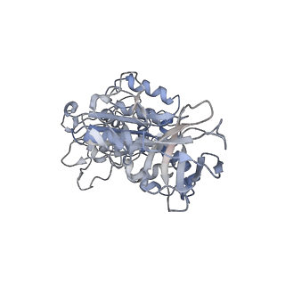 6810_5y5x_D_v1-2
V/A-type ATPase/synthase from Thermus thermophilus, rotational state 1