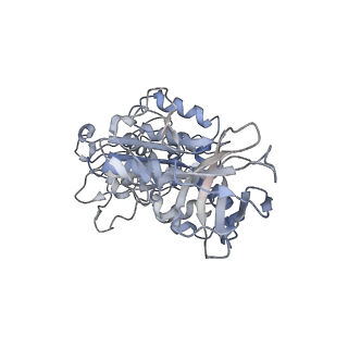 6810_5y5x_D_v1-3
V/A-type ATPase/synthase from Thermus thermophilus, rotational state 1