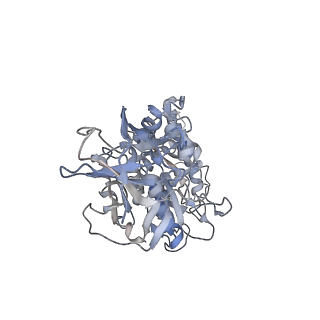 6810_5y5x_E_v1-2
V/A-type ATPase/synthase from Thermus thermophilus, rotational state 1