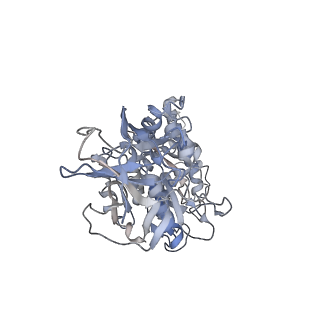 6810_5y5x_E_v1-3
V/A-type ATPase/synthase from Thermus thermophilus, rotational state 1