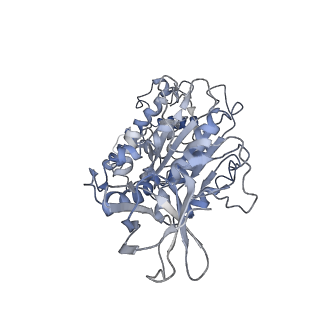 6810_5y5x_F_v1-2
V/A-type ATPase/synthase from Thermus thermophilus, rotational state 1