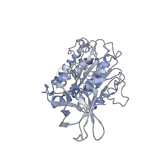 6810_5y5x_F_v1-3
V/A-type ATPase/synthase from Thermus thermophilus, rotational state 1