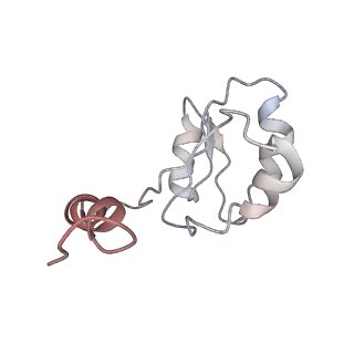 6810_5y5x_H_v1-2
V/A-type ATPase/synthase from Thermus thermophilus, rotational state 1