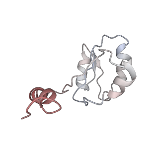 6810_5y5x_H_v1-3
V/A-type ATPase/synthase from Thermus thermophilus, rotational state 1