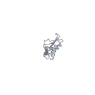 6810_5y5x_J_v1-2
V/A-type ATPase/synthase from Thermus thermophilus, rotational state 1