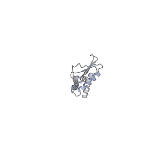 6810_5y5x_J_v1-3
V/A-type ATPase/synthase from Thermus thermophilus, rotational state 1