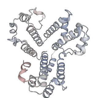 6810_5y5x_M_v1-3
V/A-type ATPase/synthase from Thermus thermophilus, rotational state 1