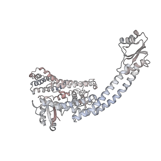 6810_5y5x_N_v1-2
V/A-type ATPase/synthase from Thermus thermophilus, rotational state 1
