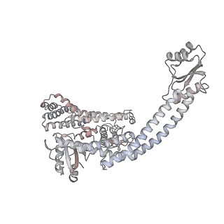 6810_5y5x_N_v1-3
V/A-type ATPase/synthase from Thermus thermophilus, rotational state 1