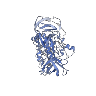 6811_5y5y_A_v1-1
V/A-type ATPase/synthase from Thermus thermophilus, peripheral domain, rotational state 1