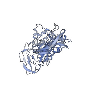 6811_5y5y_B_v1-1
V/A-type ATPase/synthase from Thermus thermophilus, peripheral domain, rotational state 1