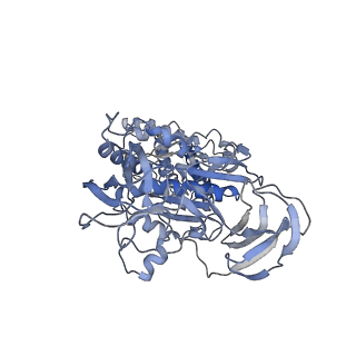 6811_5y5y_C_v1-1
V/A-type ATPase/synthase from Thermus thermophilus, peripheral domain, rotational state 1
