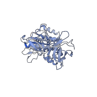6811_5y5y_D_v1-1
V/A-type ATPase/synthase from Thermus thermophilus, peripheral domain, rotational state 1