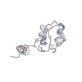 6811_5y5y_H_v1-1
V/A-type ATPase/synthase from Thermus thermophilus, peripheral domain, rotational state 1