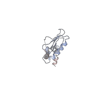 6811_5y5y_J_v1-1
V/A-type ATPase/synthase from Thermus thermophilus, peripheral domain, rotational state 1