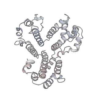 6811_5y5y_M_v1-1
V/A-type ATPase/synthase from Thermus thermophilus, peripheral domain, rotational state 1