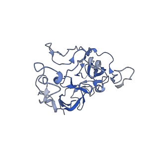 10705_6y69_C_v1-3
Cryo-EM structure of an Escherichia coli 70S ribosome in complex with antibiotic TetracenomycinX