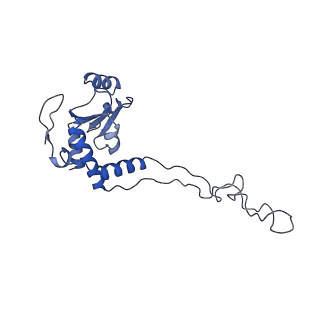 10705_6y69_E_v1-3
Cryo-EM structure of an Escherichia coli 70S ribosome in complex with antibiotic TetracenomycinX