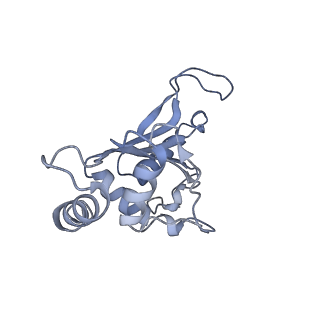 10705_6y69_F_v1-3
Cryo-EM structure of an Escherichia coli 70S ribosome in complex with antibiotic TetracenomycinX