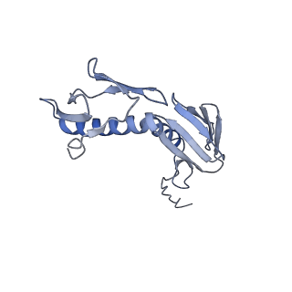 10705_6y69_G_v1-3
Cryo-EM structure of an Escherichia coli 70S ribosome in complex with antibiotic TetracenomycinX