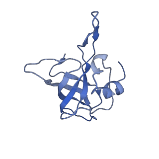 10705_6y69_K_v1-3
Cryo-EM structure of an Escherichia coli 70S ribosome in complex with antibiotic TetracenomycinX