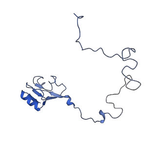10705_6y69_L_v1-3
Cryo-EM structure of an Escherichia coli 70S ribosome in complex with antibiotic TetracenomycinX