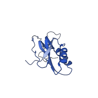 10705_6y69_M_v1-3
Cryo-EM structure of an Escherichia coli 70S ribosome in complex with antibiotic TetracenomycinX