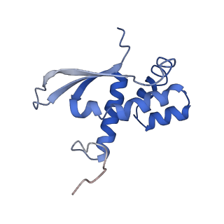 10705_6y69_N_v1-3
Cryo-EM structure of an Escherichia coli 70S ribosome in complex with antibiotic TetracenomycinX