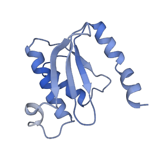 10705_6y69_O_v1-3
Cryo-EM structure of an Escherichia coli 70S ribosome in complex with antibiotic TetracenomycinX