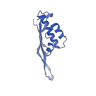 10705_6y69_S_v1-3
Cryo-EM structure of an Escherichia coli 70S ribosome in complex with antibiotic TetracenomycinX