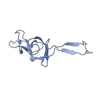 10705_6y69_U_v1-3
Cryo-EM structure of an Escherichia coli 70S ribosome in complex with antibiotic TetracenomycinX