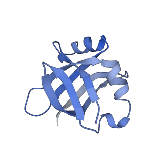 10705_6y69_V_v1-3
Cryo-EM structure of an Escherichia coli 70S ribosome in complex with antibiotic TetracenomycinX