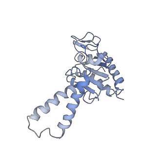 10705_6y69_b_v1-3
Cryo-EM structure of an Escherichia coli 70S ribosome in complex with antibiotic TetracenomycinX