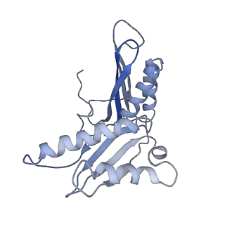 10705_6y69_c_v1-3
Cryo-EM structure of an Escherichia coli 70S ribosome in complex with antibiotic TetracenomycinX