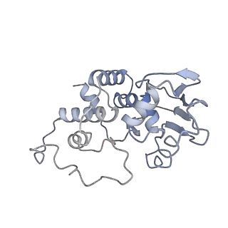 10705_6y69_d_v1-3
Cryo-EM structure of an Escherichia coli 70S ribosome in complex with antibiotic TetracenomycinX