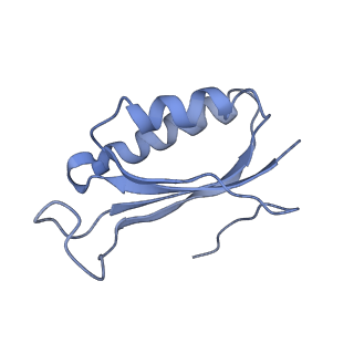 10705_6y69_f_v1-3
Cryo-EM structure of an Escherichia coli 70S ribosome in complex with antibiotic TetracenomycinX