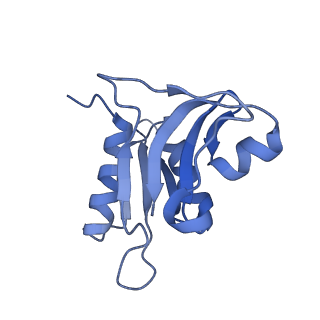 10705_6y69_h_v1-3
Cryo-EM structure of an Escherichia coli 70S ribosome in complex with antibiotic TetracenomycinX