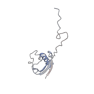 10705_6y69_i_v1-3
Cryo-EM structure of an Escherichia coli 70S ribosome in complex with antibiotic TetracenomycinX