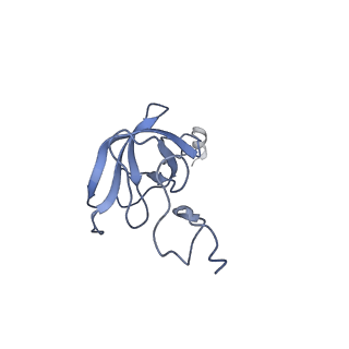 10705_6y69_l_v1-3
Cryo-EM structure of an Escherichia coli 70S ribosome in complex with antibiotic TetracenomycinX