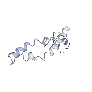 10705_6y69_n_v1-3
Cryo-EM structure of an Escherichia coli 70S ribosome in complex with antibiotic TetracenomycinX