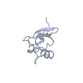 10705_6y69_s_v1-3
Cryo-EM structure of an Escherichia coli 70S ribosome in complex with antibiotic TetracenomycinX