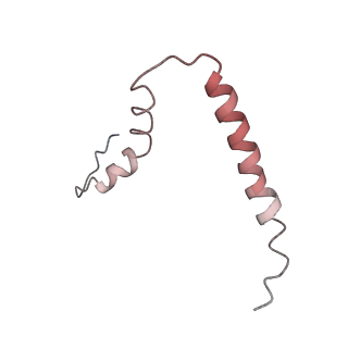10705_6y69_u_v1-3
Cryo-EM structure of an Escherichia coli 70S ribosome in complex with antibiotic TetracenomycinX