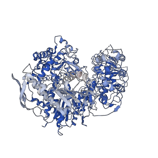 10706_6y6k_A_v1-2
Cryo-EM structure of a Phenuiviridae L protein