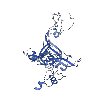 10709_6y6x_LB_v1-1
Tetracenomycin X bound to the human ribosome