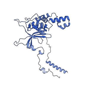 10709_6y6x_LD_v1-1
Tetracenomycin X bound to the human ribosome