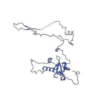 10709_6y6x_LE_v1-1
Tetracenomycin X bound to the human ribosome