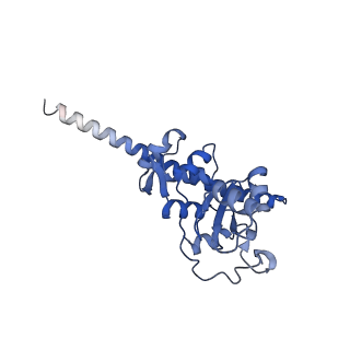 10709_6y6x_LF_v1-1
Tetracenomycin X bound to the human ribosome
