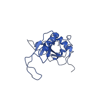 10709_6y6x_LJ_v1-1
Tetracenomycin X bound to the human ribosome