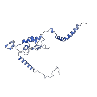 10709_6y6x_LL_v1-1
Tetracenomycin X bound to the human ribosome