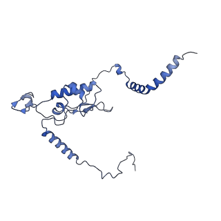 10709_6y6x_LL_v2-0
Tetracenomycin X bound to the human ribosome